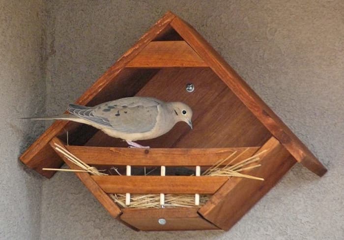 This nesting box looks easy enough to build and provides room enough for a family of mourning doves. Put some straw in there for them as they are not great at building nests.