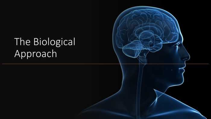 mental-illness-part-two-history-and-treatments-from-20th-century-and-today