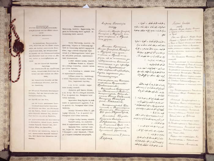 The treaty provided Germany with agricultural land and raw supplies to furnish their army and continue the war.