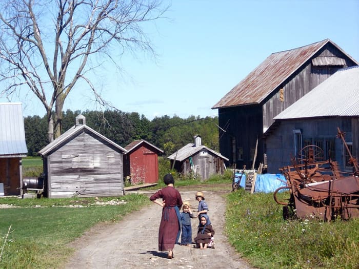 Why Do Some Amish Groups Have Their Teeth Pulled Out? Owlcation