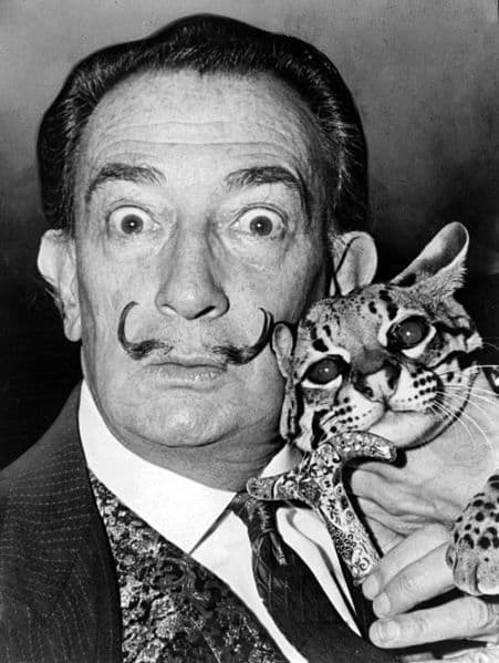 Salvador Dalí was the influential leader of the Surrealist Movement. He was interested in irrationality and dreams.