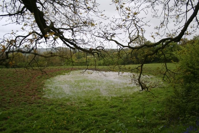 A spring, located near St. Kenelm's church is believed to be the original sacred well, with votive offerings found in the waters.