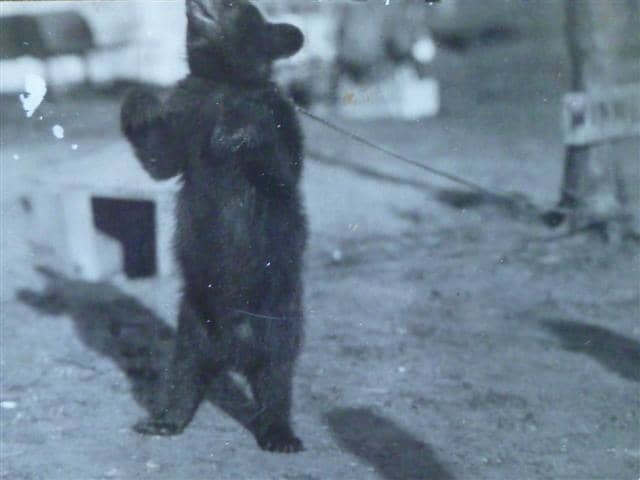Winnie's nose is cut off in this photo; you can see a sign in the background with the name "Winnie" on it