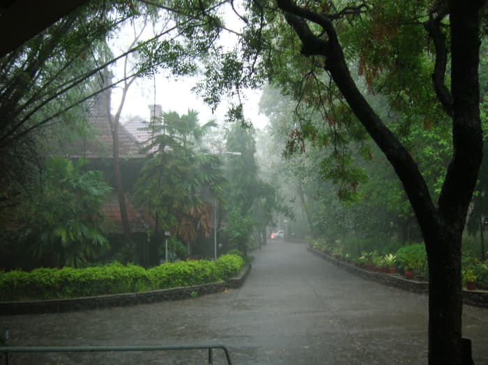 Monsoon rains are caused by Sun's position in the sky