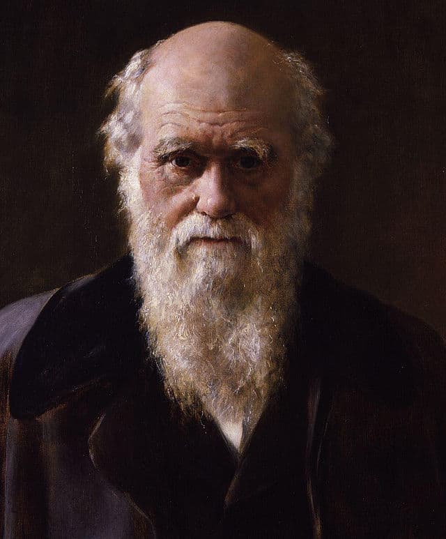 Since Darwin first explained his theory of evolution by natural selection in the nineteenth century, an overwhelming amount of evidence has been accumulated, from palaeontology to genetics, to support it.