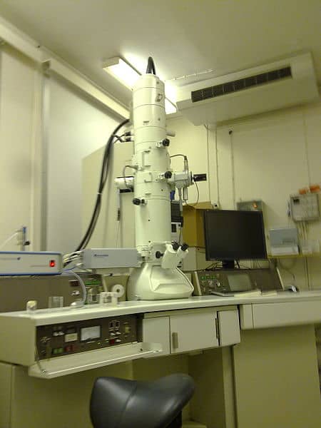 A transmission electron microscope is a powerful instrument that beams electrons through the sample. It enables us to see the tiny components, organelles and other features at work within the cell.