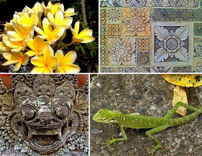 Above: Intricate carvings on a gate resemble creeping vines; flower motifs on stepping stones look like real flowers; a menacing dragon statue takes shape from a harmless lizard.
