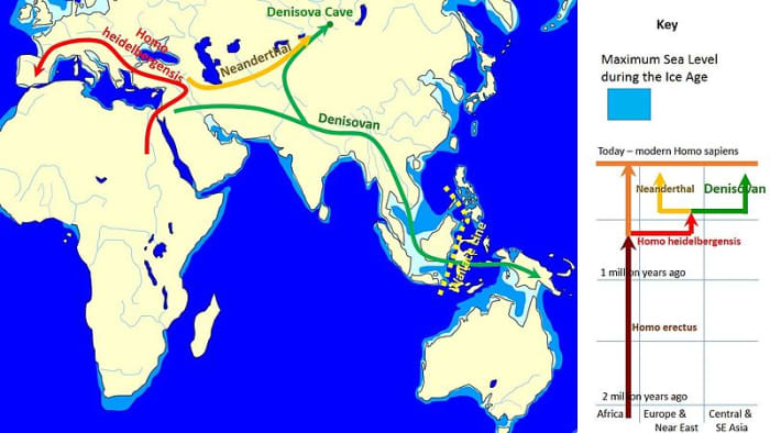 Reconstruction of the wanderings of Denisovian humans. Map by John D. Croft, courtesy Wikimedia Commons.