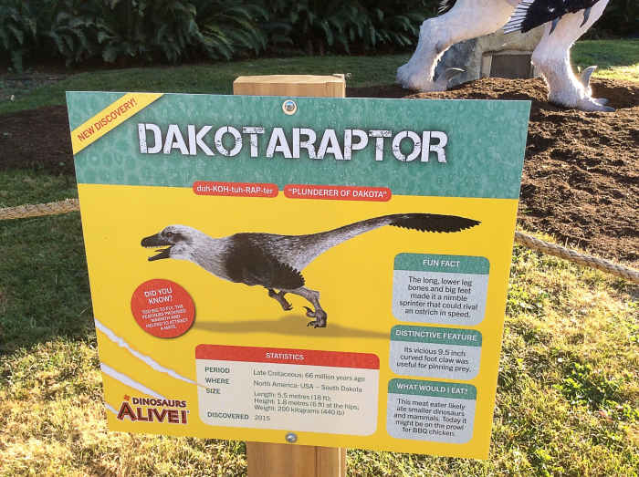 The Dakotaraptor model is more heavyset than the version shown on the identification sign. An explanation for this disparity would have been useful for the public.