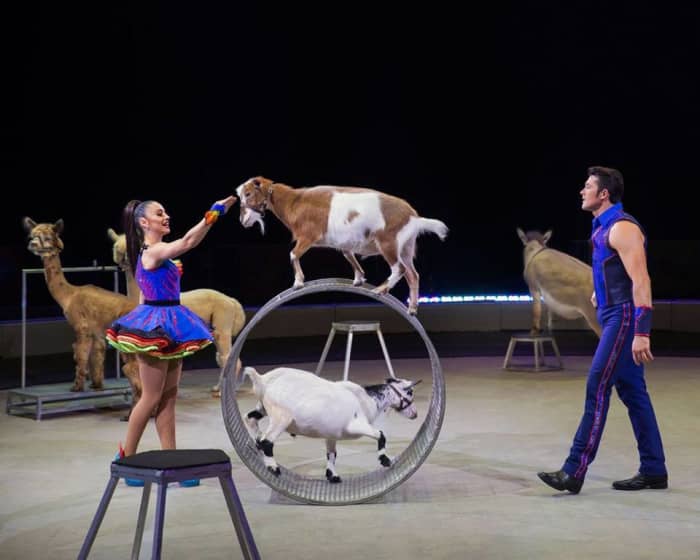 Mixed animal act with Katie and Alexander Lacey: Ringling Bros. and Barnum & Bailey presents Out of This World. (2016-2017)