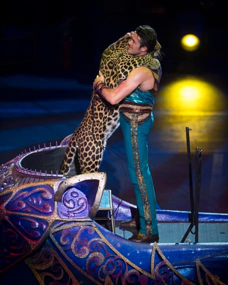 Alexander Lacey and leopard friend, Mogli. Ringling Bros. and Barnum & Bailey presents Legends (2014-2016).