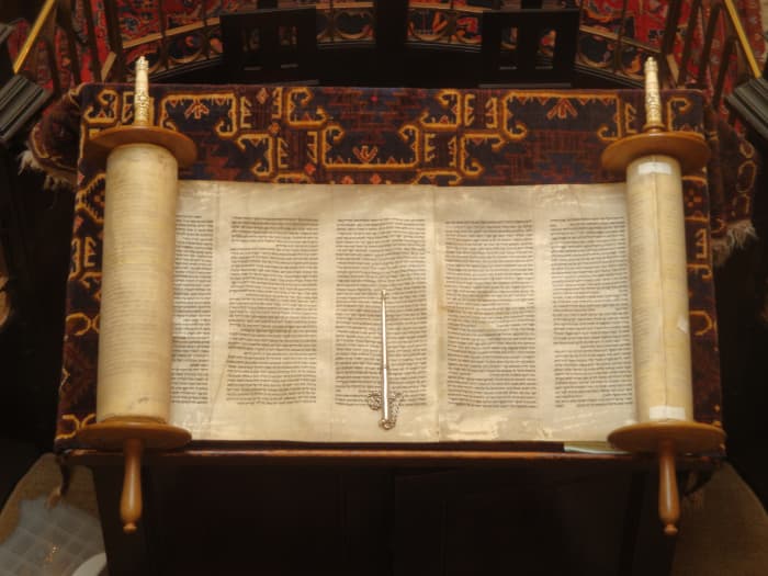 proverbs-and-the-tree-of-life