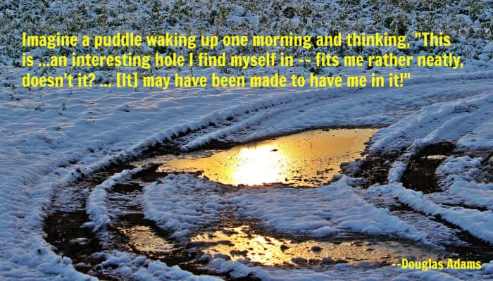 A famous analogy from Douglas Adams about how a puddle might think the hole it finds itself in was made just for it.