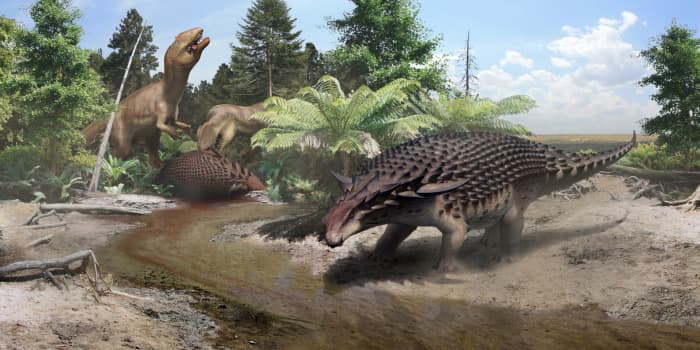 A scene with two Borealopelta -- one being eaten by carcharodontosaurs and the other drinking -- by Robert Nicholls.