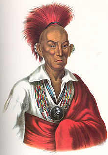 In 1832 Black Hawk, a Sauk-Fox Indian, lead a short war against the U.S. The war ended when Black Hawk was captured and imprisoned for a year.