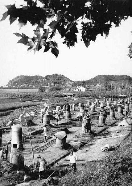 Although the Great Leap Forwards is a sign of the immense mobilizational capacity of the Chinese state, it also shows that its actual power was limited.