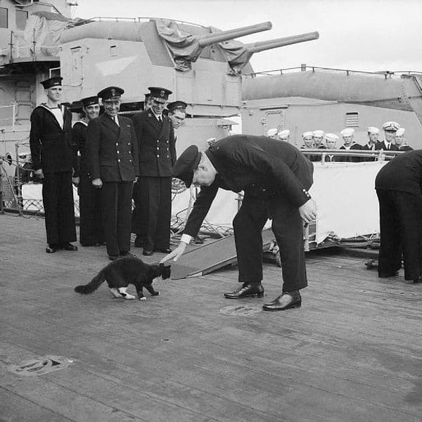 Blackie was the ship's cat aboard HMS Prince of Wales, which took Winston Churchill (seen here petting Blackie) to the Atlantic Conference of 1941. The crew changed Blackie's name to Churchill.