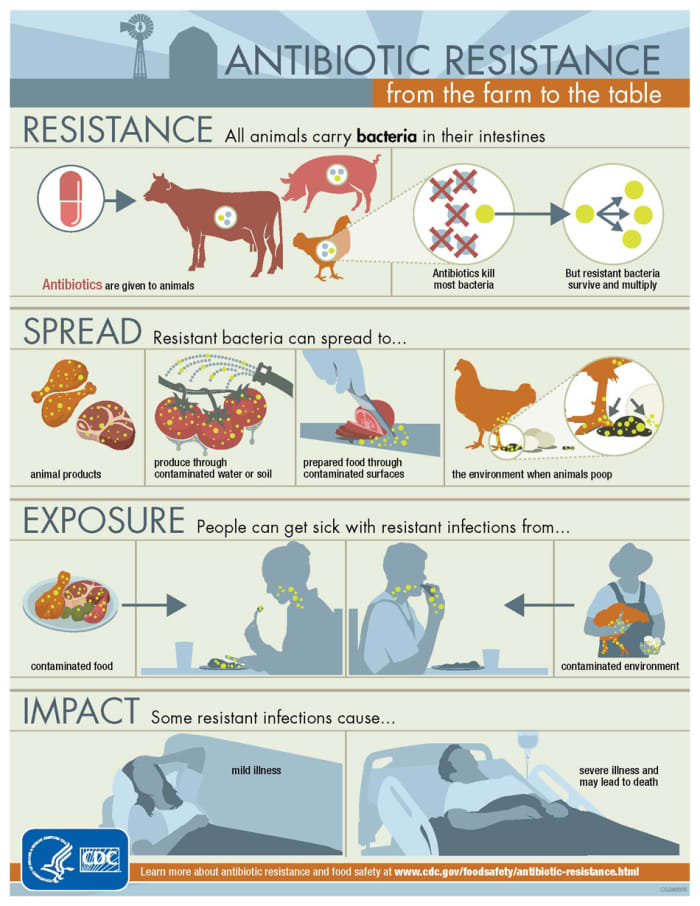 The CDC explains how antibiotic resistance can effect humans.
