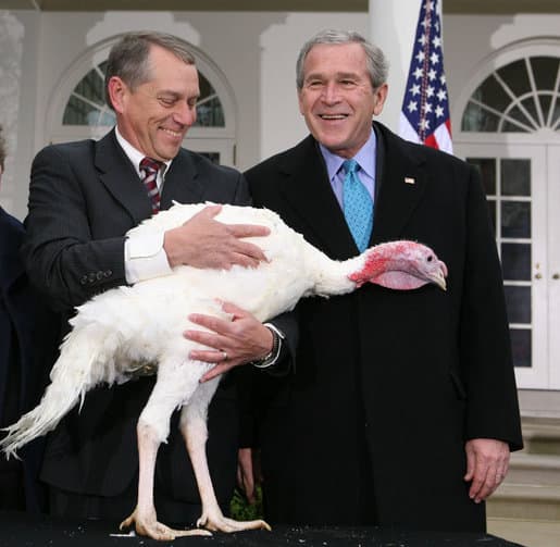 A presidential pardon doesn't add much time onto a turkey's life.
