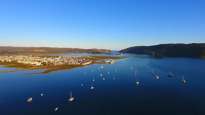 Knysna Lagoon: This beautiful region hosts one of the three remaining populations of the rare Knysna Seahorse.