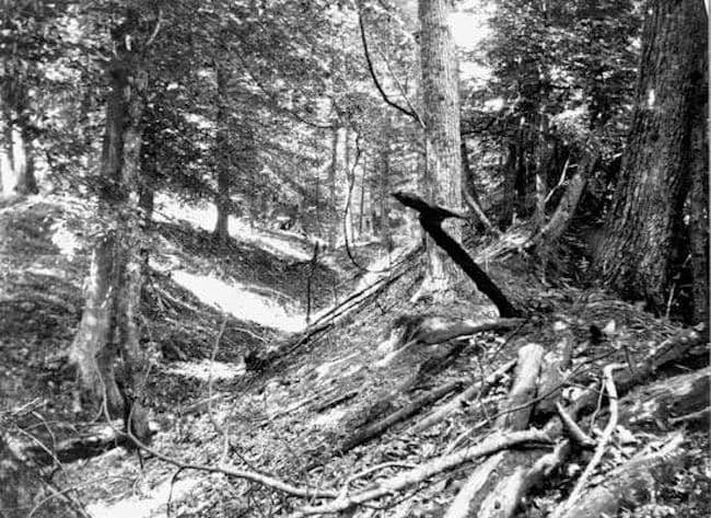 Trench east of Reelfoot Lake on the Chickasaw Buffs in Tennessee caused by the Earthquakes