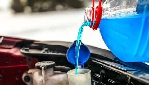 Antifreeze proteins (AFPs) in some insects bind to and inhibit the growth and recrystallization of ice that would otherwise be fatal.
