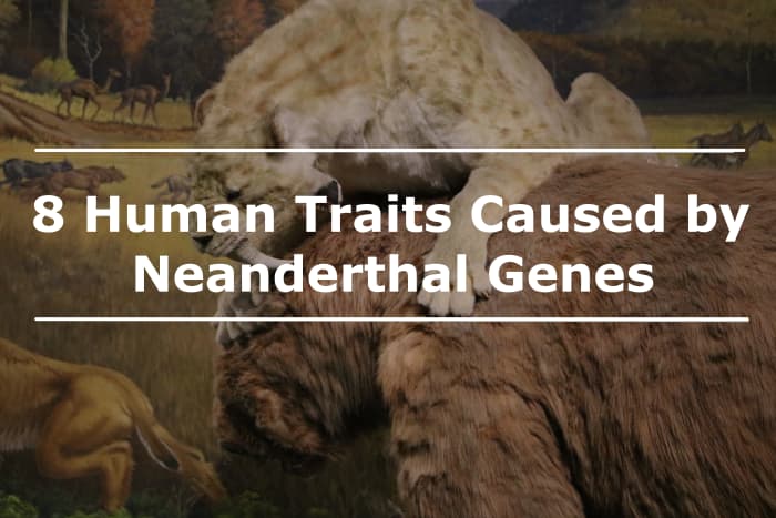 Neanderthal genetic variants have been isolated in modern-day humans, indicating humans intermarried with the ancient population.