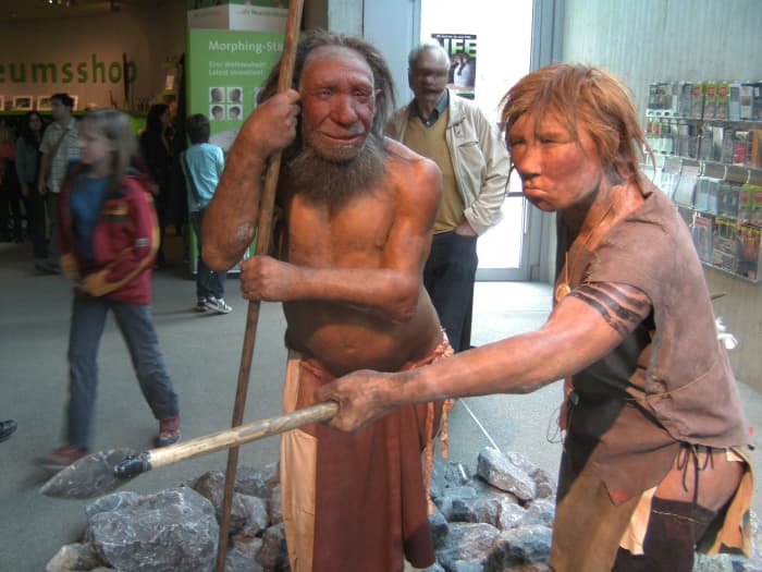 Neanderthals had a wide range of hair and skin tone. While an urban legend often states red hair is from Neanderthals, the modern human mutation for red hair is not observed in the Neanderthal genome.