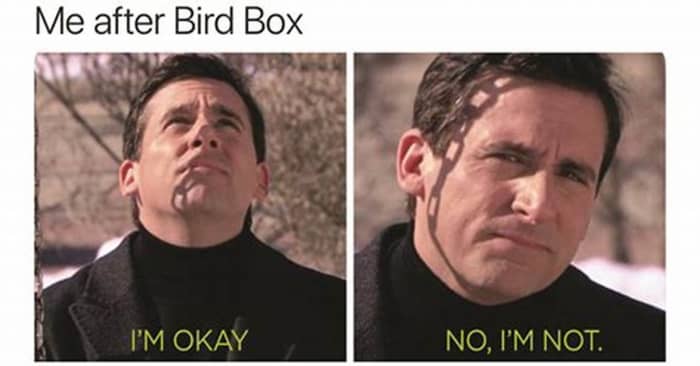 sequel to bird box book