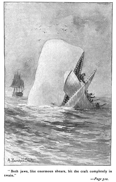 The only crime committed by Moby Dick was to lick Ahab in a fair fight, this while the crusty captain was trying to shove a harpoon up his blowhole