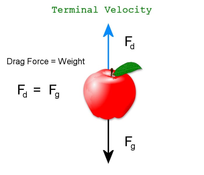 As velocity increases, the drag force acting upwards eventually equals the force of gravity acting downwards, the net force becomes zero and an object no longer accelerates. It has reached terminal velocity.