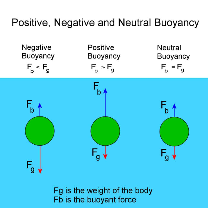 How To Measure Buoyancy