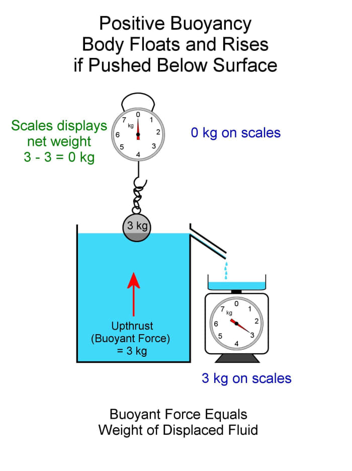 Archimedes Principle Buoyancy Experiments And Flotation Force Owlcation