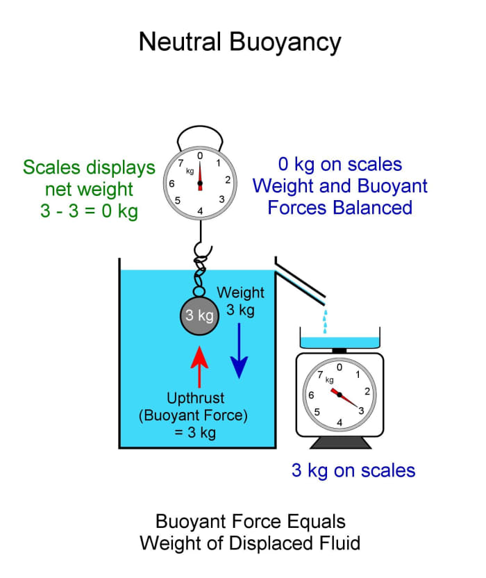 Neutral Buoyancy. Body can be positioned anywhere under the surface. Buoyancy force and weight of ball are equal.