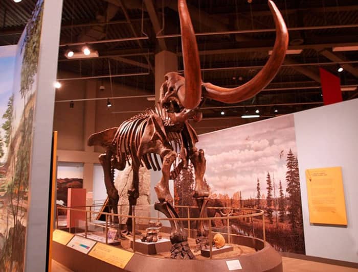 North Dakota Heritage Center: located in Bismarck, the North Dakota Heritage Center offers an overview of the history of North Dakota from prehistoric to modern times. Photo by minnemom via Flickr.