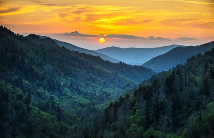 The Smokies: there's no better place to begin your Great Smoky Mountains National Park adventure than in the small town of Gatlinburg with its many big-ticket attractions, such as the excellent Ripley's Aquarium of the Smokies.