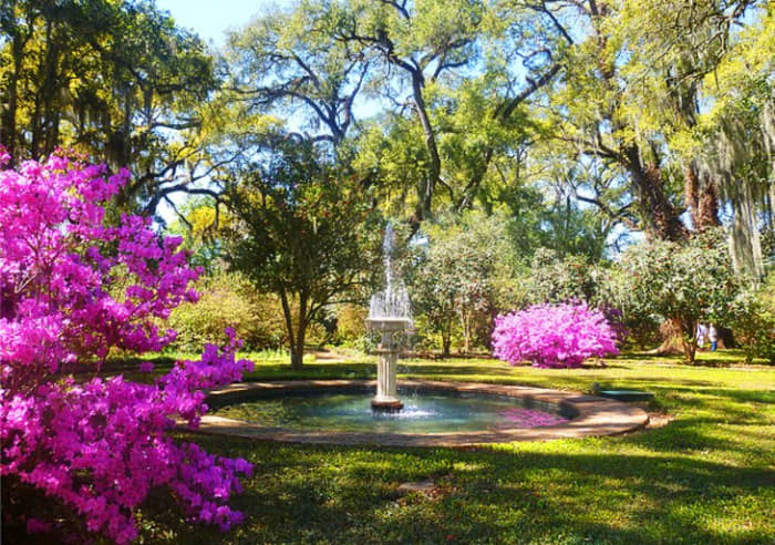The Rosedown Plantation: is a State Historic Site known for being one of the most well preserved domestic Southern plantations. Photo by dtroyka via Flickr.