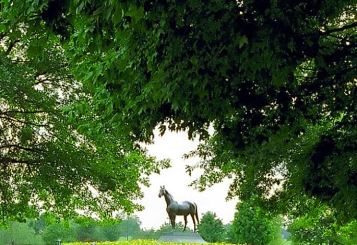 The Kentucky Horse Park: located a short drive north of Lexington, allows visitors a chance to see a working horse farm, learn about, and visit with horses. Photo by David Paul Ohmer.
