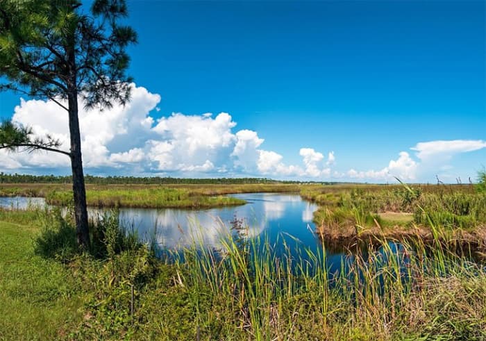 Gulf State Park in Gulf Shores: Gulf State Park in Gulf Shores is popular with both campers and day-trippers, offering a wide variety of facilities and more than two miles of white, sandy beaches. www.alapark.com/gulf-state-park