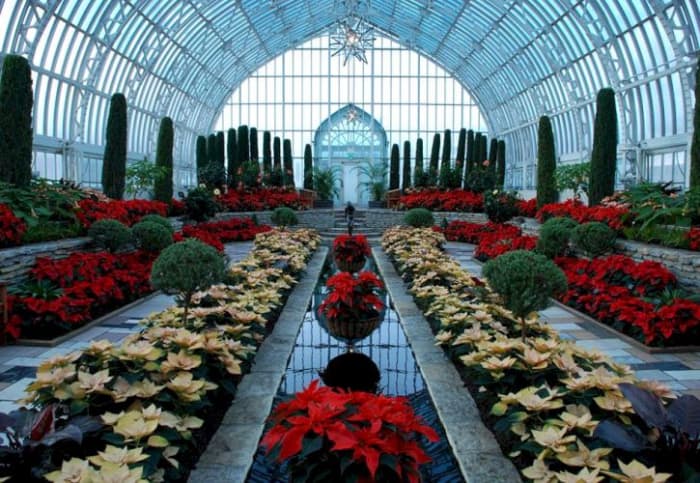 Como Park Zoo and Conservatory: from tigers, elephants, monkeys, polar bears, and giraffes to birds, fish and insects, you can get up close and personal with all these exotic animals. Photo Courtesy of Facebook/Como Park Zoo & Conservatory