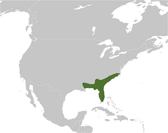 Distribution area of the Eastern Diamondback Rattlesnake. To date, the snake is primarily found across the Southeastern United States.