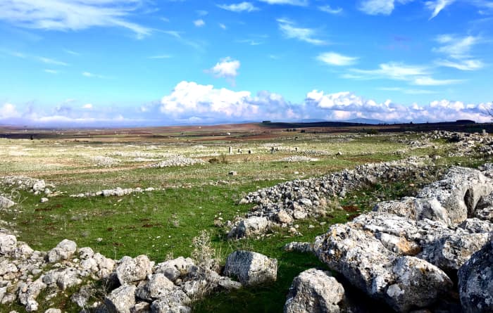 Platea, which King Pausanias passed after making his way into Boeotia via the route through Mt. Cithaeron.