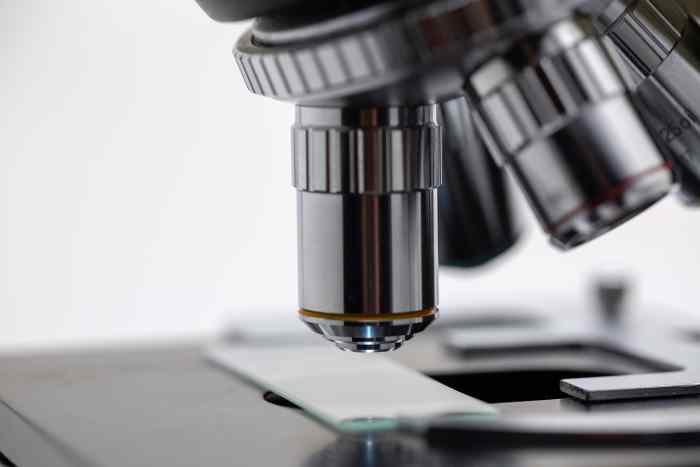 Looking at living things with a microscope is a very interesting activity for many students. It's an ideal activity for a flipped classroom.