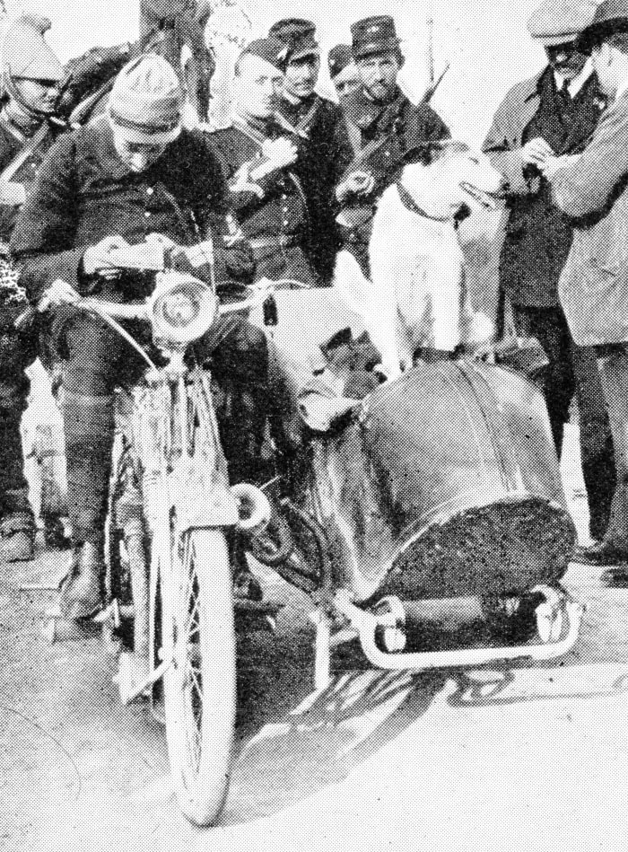 The French war-dog "Prusco", was employed in carrying messages from a motor-cycle scout to headquarters. This dog and his companions penetrated the enemy's lines on many occasions.