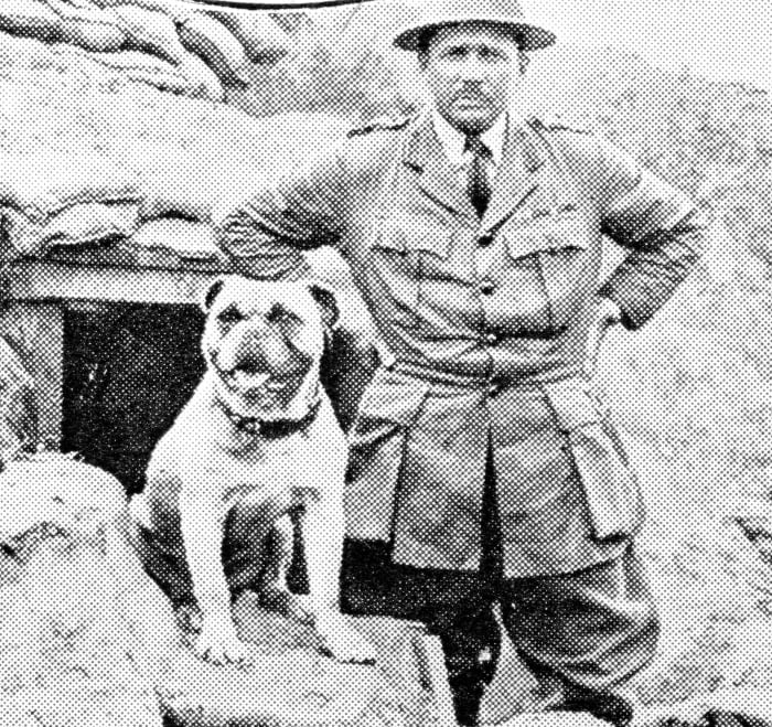 "Gibby," the mascot of a Canadian regiment, and his C.O. The dog had been gassed twice, but still went into action.