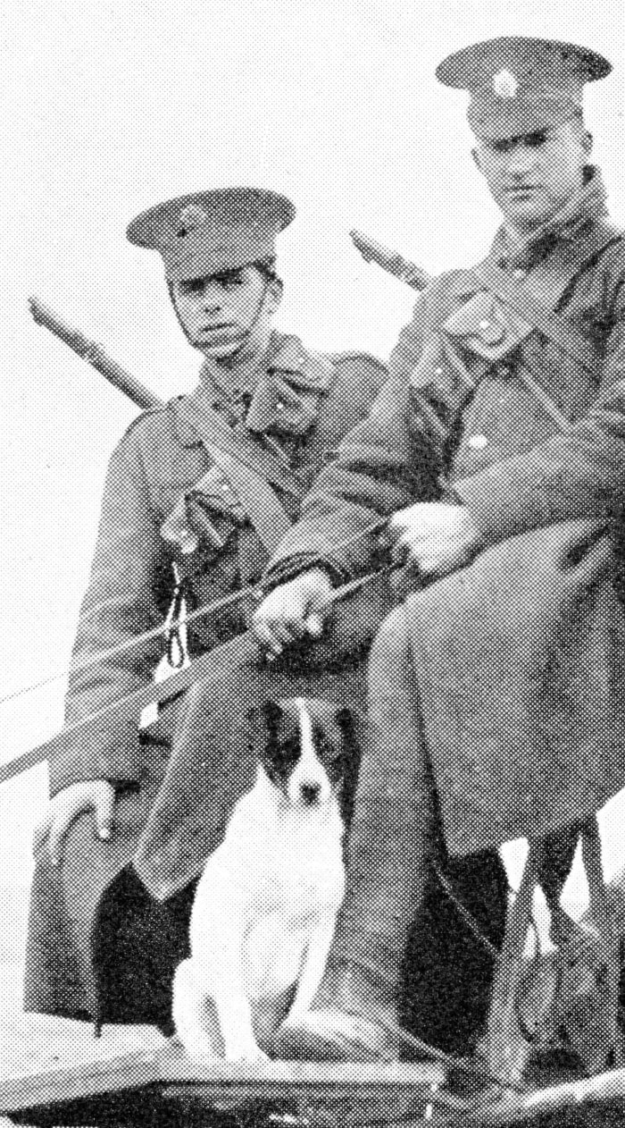 "Kitchener" was the proud nickname given to this pet of one of the Army Service Corps (A.S.C.) transport sections at the front.