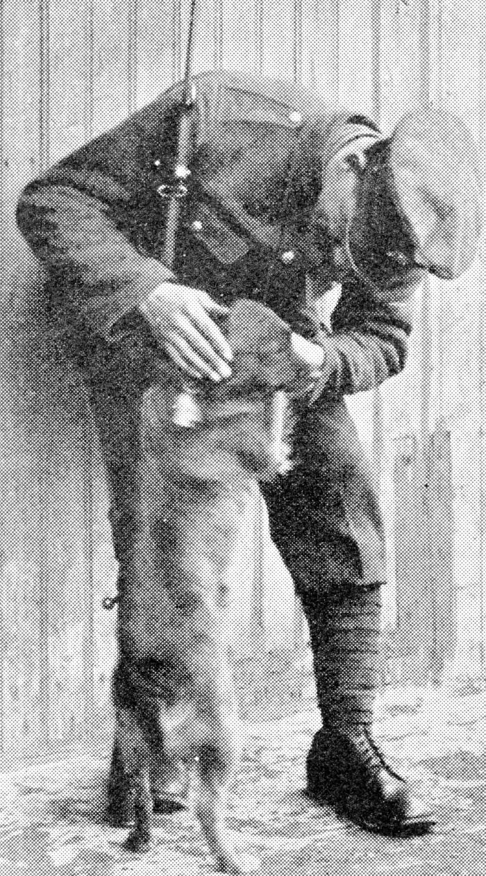 This dog followed some British soldiers for five miles while they were marching in France, so they adopted him.