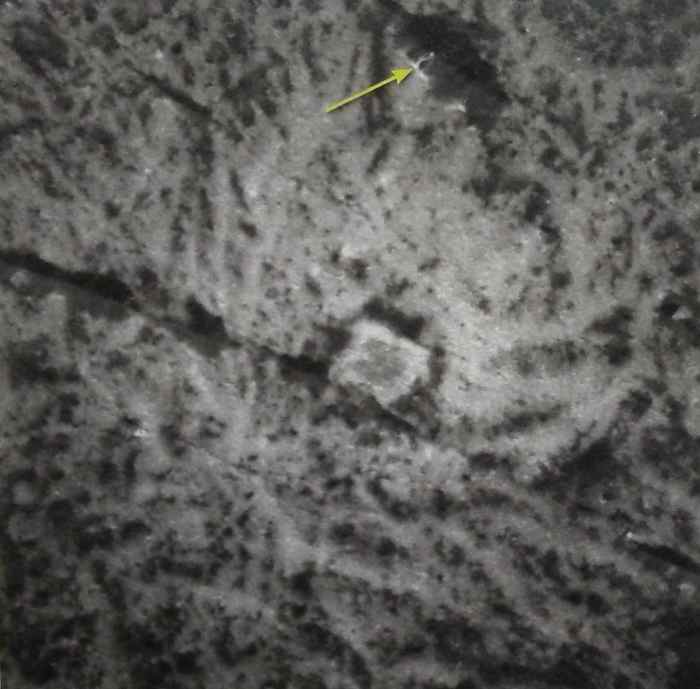 Vinalia Facula, on the eastern portion of Occator Crater, with the yellow arrow pointing out possible liquid flow.