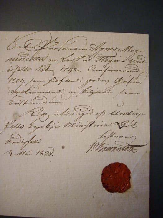 This is a photograph of the original letter from Pétur Bjarnason, Reverend of Undirfell, to Björn Blöndal. Translated, it reads: 'The condemned Agnes Magnúsdóttir was born at Flaga in the parish of Undirfell in 1795...'