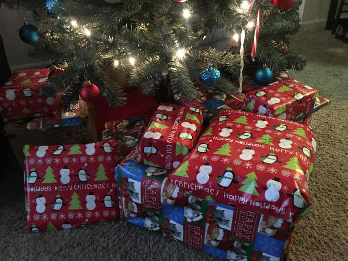 Is the Celebration of Christmas Biblical? Owlcation